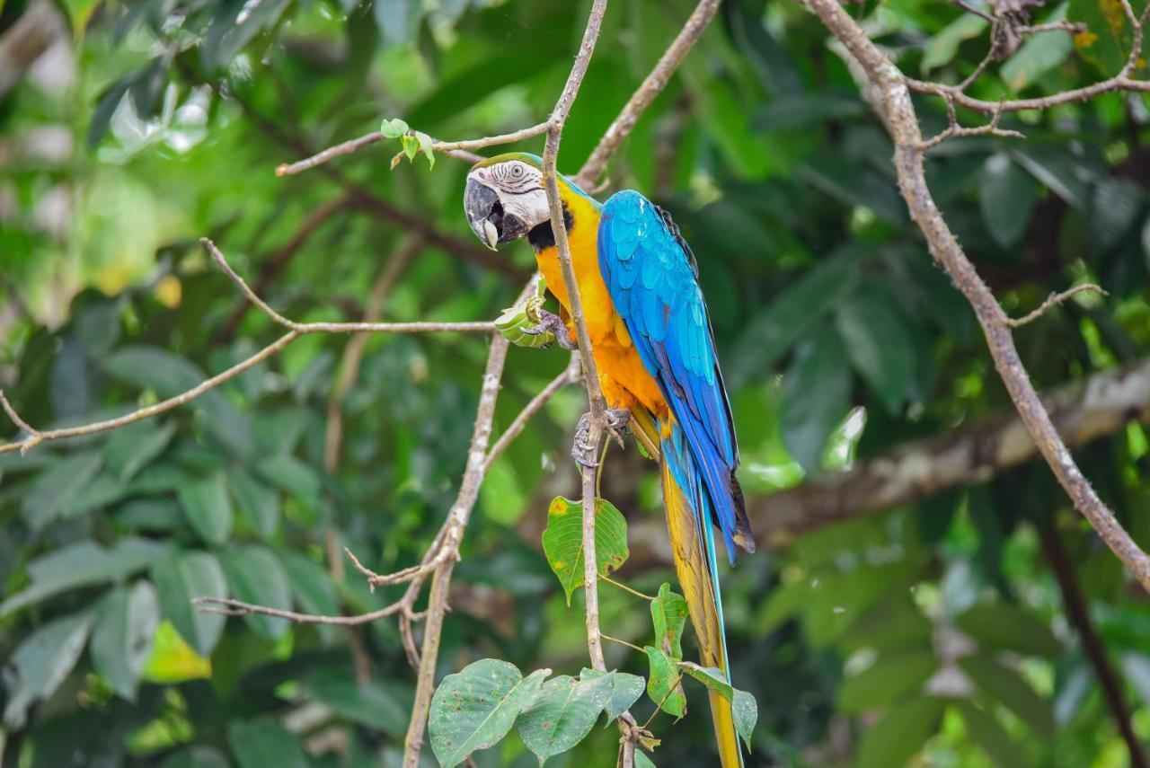 Amazon Muyuna Lodge Paraiso Ngoại thất bức ảnh