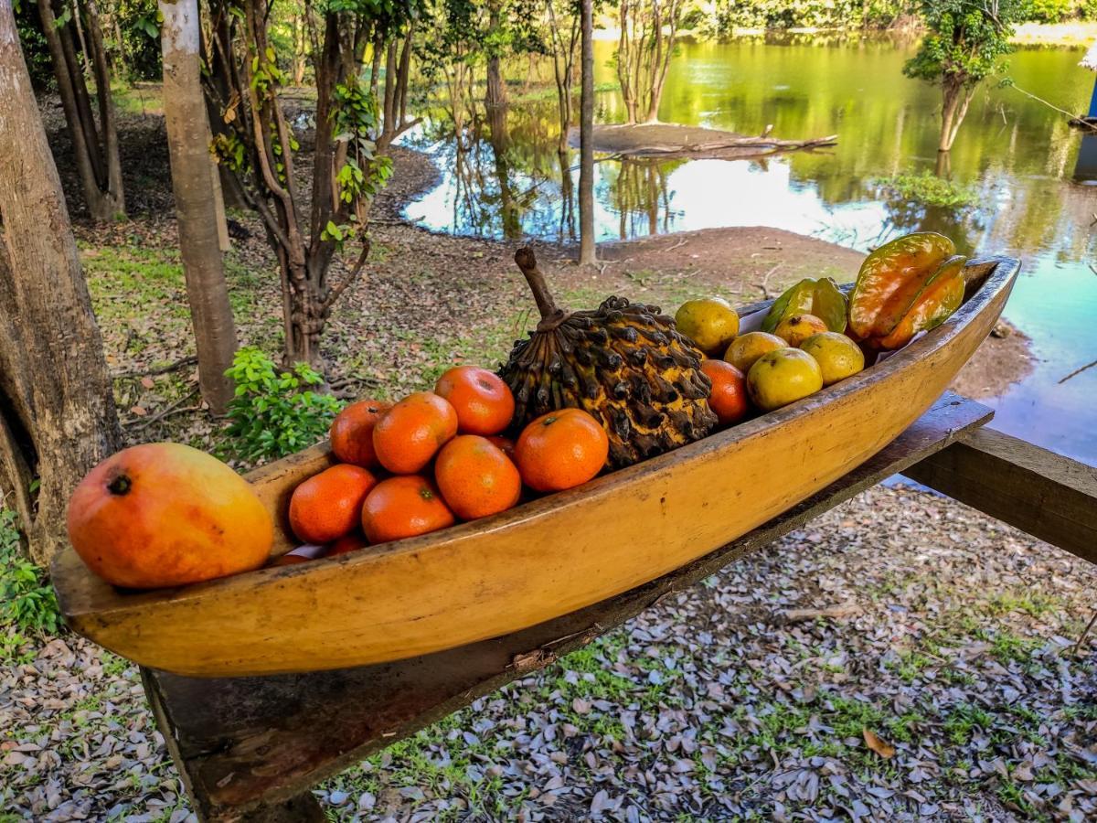 Amazon Muyuna Lodge Paraiso Ngoại thất bức ảnh