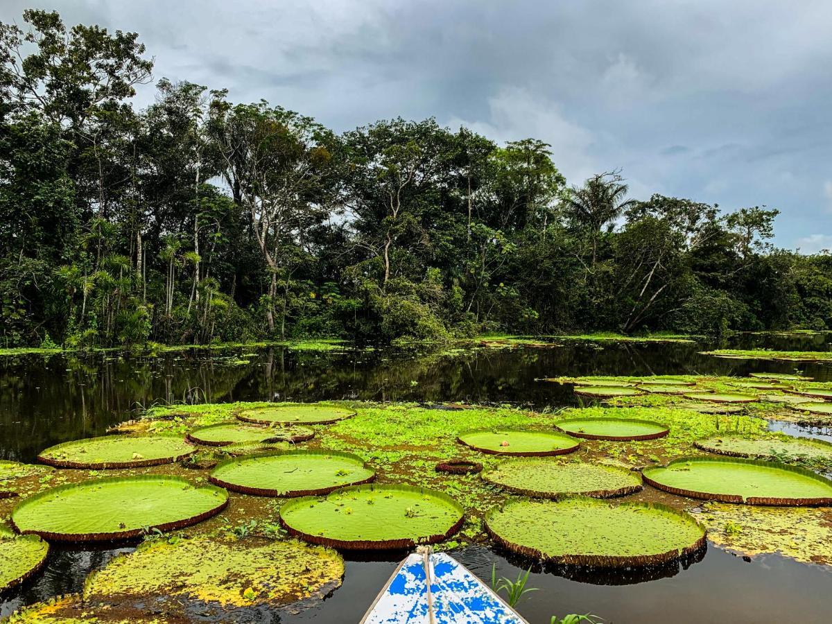 Amazon Muyuna Lodge Paraiso Ngoại thất bức ảnh